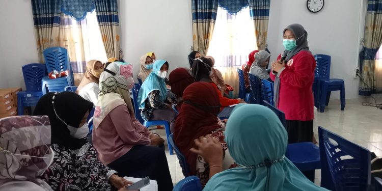 Kegiatan Orientasi, Stimulasi, Deteksi dan Intervensi Dini Tumbuh Kembang Anak (SDIDTK)