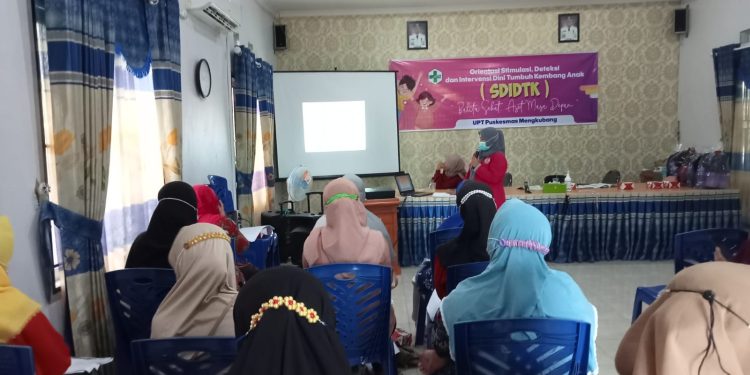 Kegiatan Orientasi, Stimulasi, Deteksi dan Intervensi Dini Tumbuh Kembang Anak (SDIDTK)