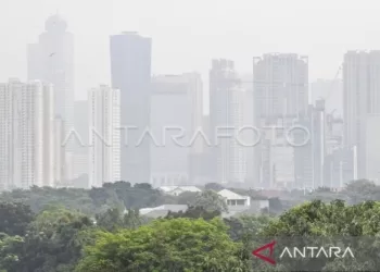 Pakar paru bagikan cara menilai kualitas udara tanpa alat 