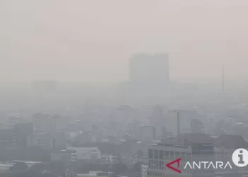 Dokter: Air purifier untuk cegah polusi udara dalam ruangan