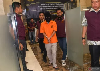 Psikolog: Kecanduan judi online bisa disembuhkan, tapi, tidak instan