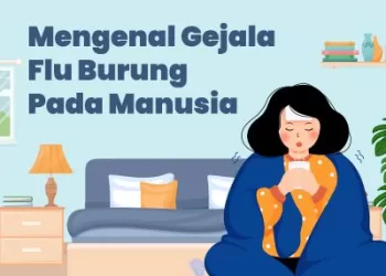 Mengenal Gejala Flu Burung Pada Manusia