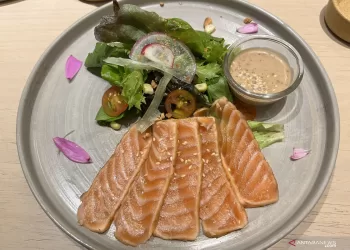 Pakar gizi ingatkan omega 3 dan 6 penting untuk tumbuh kembang anak
