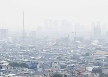 Gagal jantung bisa terjadi akibat hirup PM 2.5 polusi udara