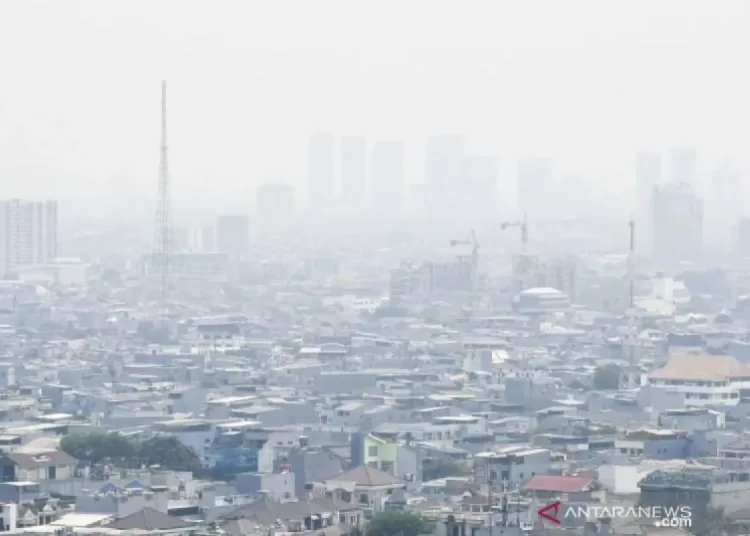 Gagal jantung bisa terjadi akibat hirup PM 2.5 polusi udara