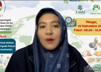 Konsumsi herbal bantu cegah efek buruk polusi udara pada tubuh