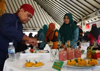 Makanan bergizi tinggi penting bagi pendonor darah