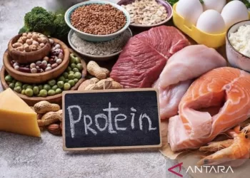 Tengok 10 manfaat konsumsi protein