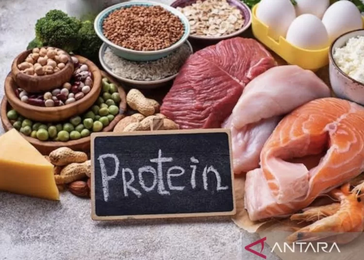 Tengok 10 manfaat konsumsi protein