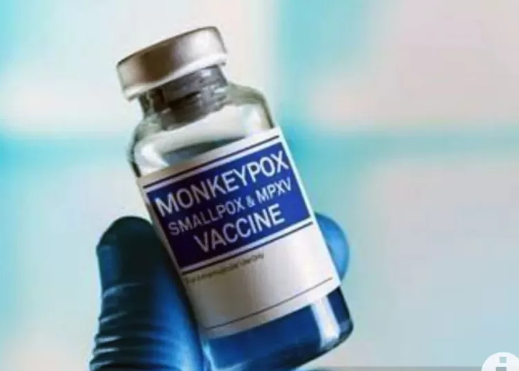 Praktisi sebut penularan cacar monyet lambat dibandingkan cacar air