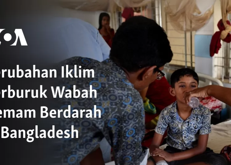 Perubahan Iklim Perburuk Wabah Demam Berdarah di Bangladesh