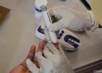 Praktisi: Kendalikan gula darah demi hindari komplikasi diabetes