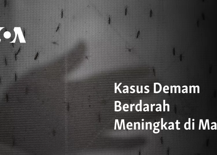 Kasus Demam Berdarah Meningkat di Mali