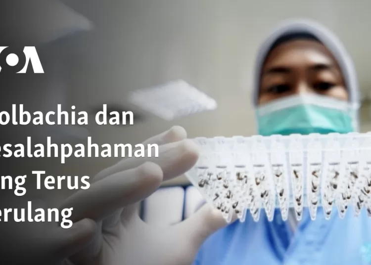 Wolbachia dan Kesalahpahaman yang Terus Berulang