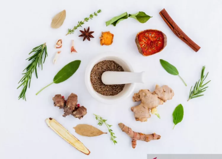 Kombinasi herbal daun ivy dan thyme bisa kurangi batuk pada anak