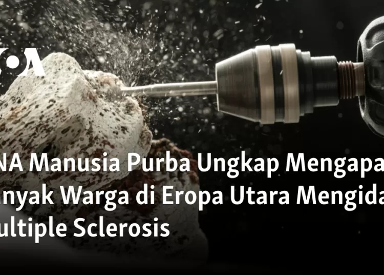 DNA Manusia Purba Ungkap Mengapa Banyak Warga di Eropa Utara Mengidap Multiple Sclerosis