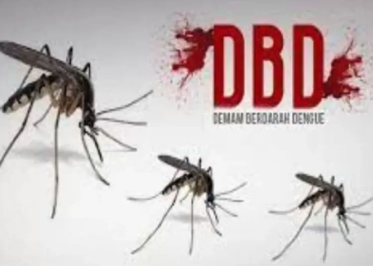 Target nol kematian akibat DBD 2030, Kemenkes gaet Biofarma dan Takeda