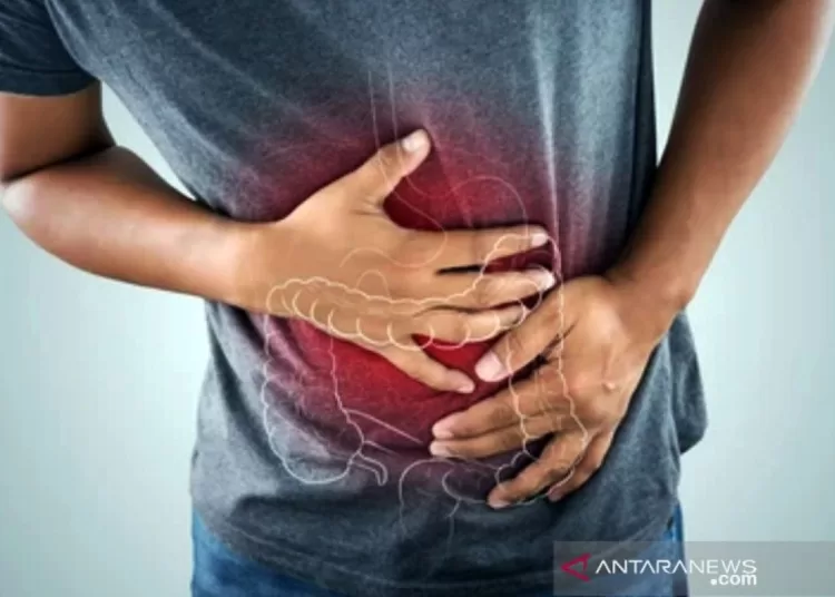Atur kesehatan usus dan mental dari atur pola makan
