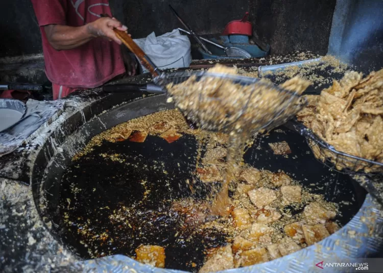 Penggunaan minyak goreng berulang pengaruhi risiko degenerasi syaraf