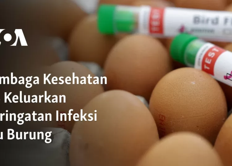Lembaga Kesehatan AS Keluarkan Peringatan Infeksi Flu Burung