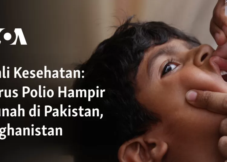 Virus Polio Hampir Punah di Pakistan, Afghanistan 