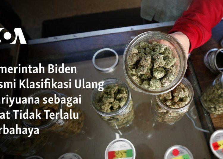 Pemerintah Biden Resmi Klasifikasi Ulang Mariyuana sebagai Obat Tidak Terlalu Berbahaya