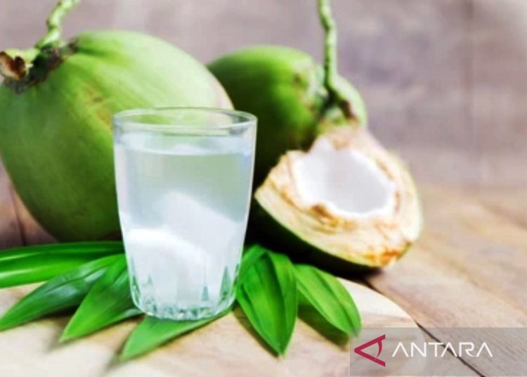 Lima manfaat kesehatan dari konsumsi air kelapa
