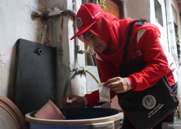 Cara cegah perkembangbiakan nyamuk perantara penularan dengue di rumah