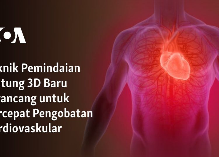 Teknik Pemindaian Jantung 3D Baru Dirancang untuk Percepat Pengobatan Kardiovaskular