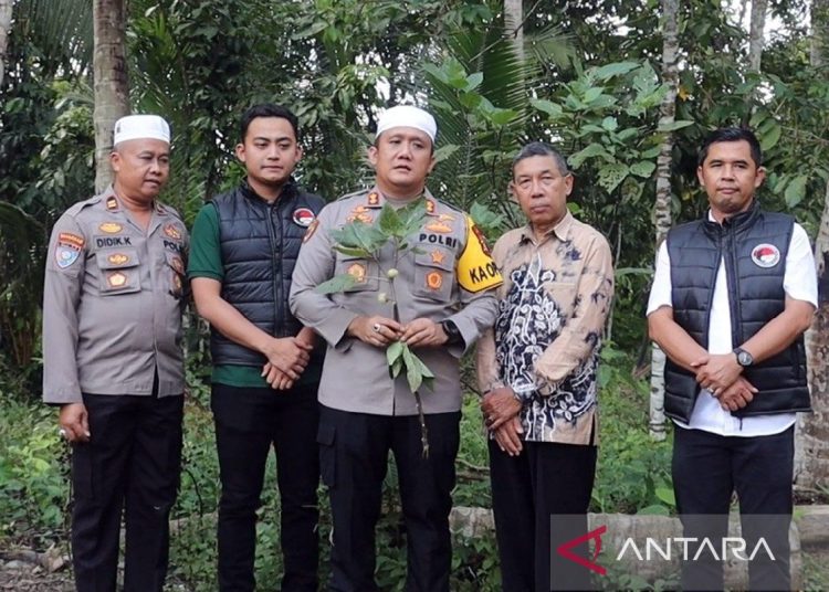 Pil putih tanpa merek jadi penyebab “mabuk kecubung” di Kalsel