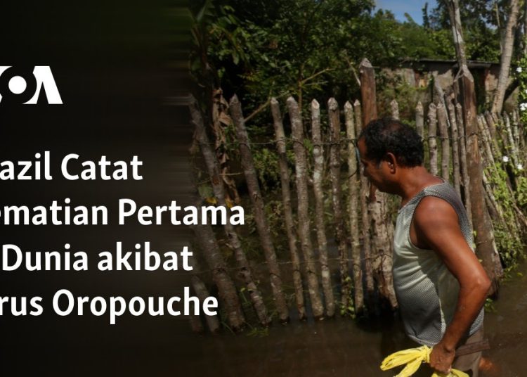 Brazil Catat Kematian Pertama di Dunia akibat Virus Oropouche