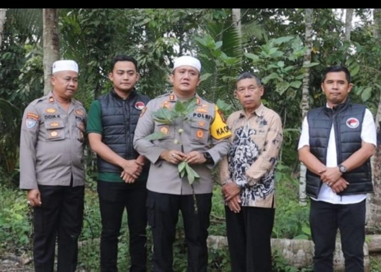 Pil putih tak merek jadi penyebab “mabuk kecubung” di Kalsel