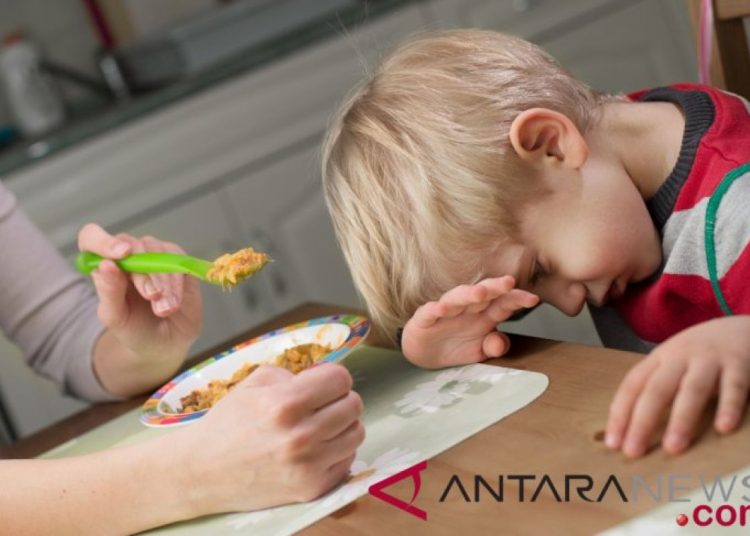 Nutrisionis: “Picky eater” beri dampak buruk pada tumbuh kembang anak