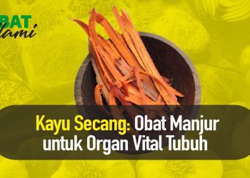 Manfaat Kayu Secang Bagi Kesehatan Jantung | Hidup Sehat tvOne