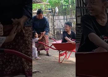 anak sehat
