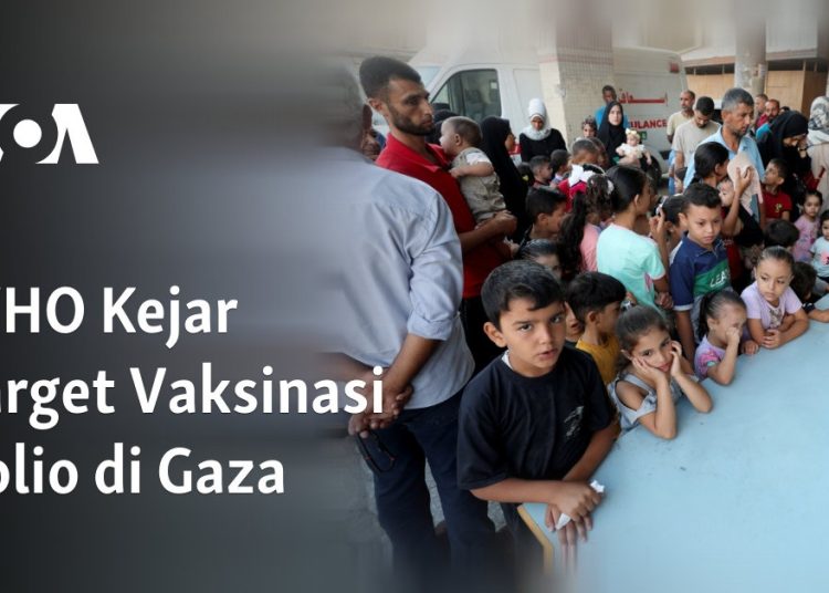 WHO Kejar Target Vaksinasi Polio di Gaza