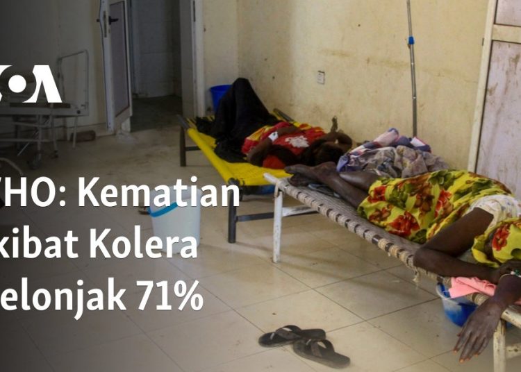 Kematian Akibat Kolera Melonjak 71%