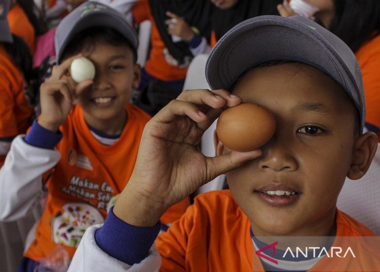 Kebutuhan protein berdasar usia, aktivitas, dan kondisi kesehatan