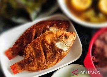 Makan ikan selama kehamilan bisa kurangi risiko autisme pada anak