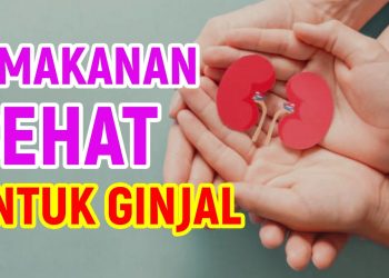 9 Makanan yang Sehat untuk Ginjal |Terbukti memperbaiki Fungsi Ginjal!!