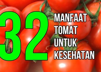 Masya Allah, Inilah 32 Manfaat Tomat Untuk Kesehatan dan Kecantikan