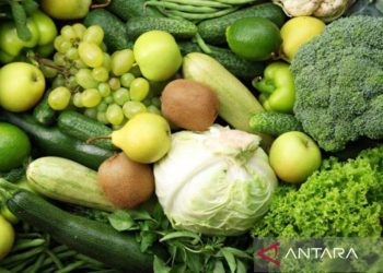 Mencuci buah di mesin pencuci piring belum tentu aman
