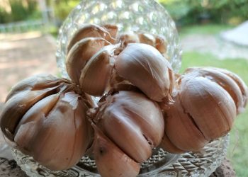 Efek bawang putih untuk mengatasi jerawat