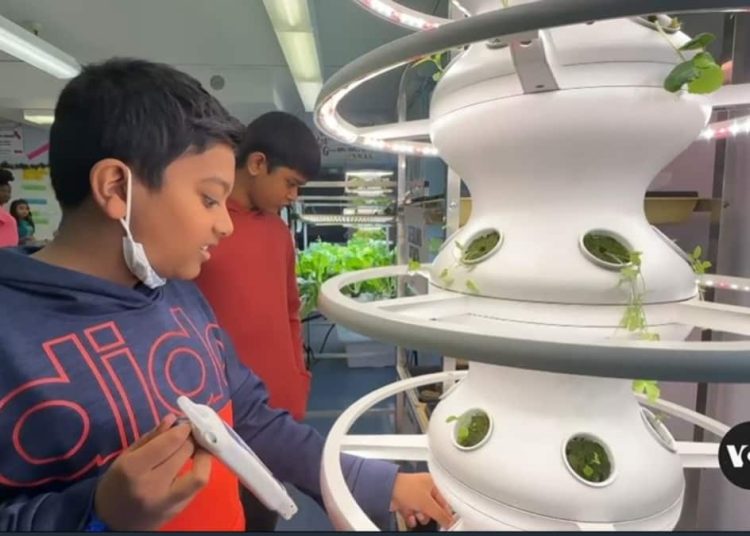 Anak-anak Kota New York Belajar Berkebun untuk Membangun Kebiasaan Makan yang Lebih Sehat