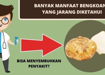 5 Manfaat Bengkuang untuk Kesehatan