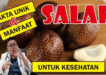 FAKTA UNIK & MANFAAT SALAK UNTUK KESEHATAN
