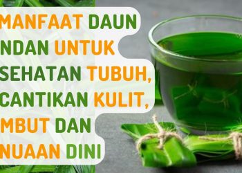 14 Manfaat Daun Pandan untuk Kesehatan Tubuh, Kecantikan Kulit, Rambut dan Penuaan Dini