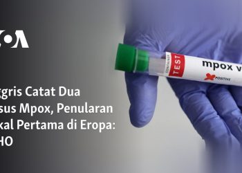 Inggris Catat Dua Kasus Mpox, Penularan Lokal Pertama di Eropa: WHO