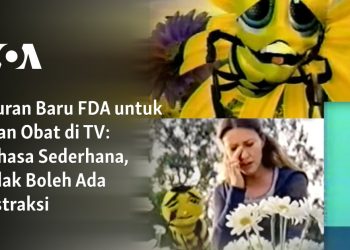 Bahasa Sederhana, Tidak Boleh Ada Distraksi