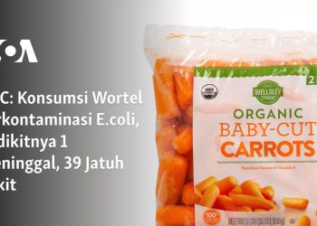 Konsumsi Wortel Terkontaminasi E.coli, Sedikitnya 1 Meninggal, 39 Jatuh Sakit